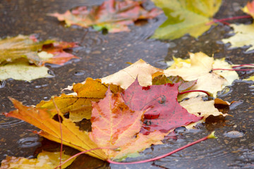 drizzling rain (48)