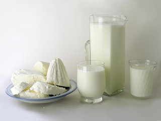 dairy food