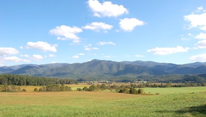 Fototapeta premium green valley