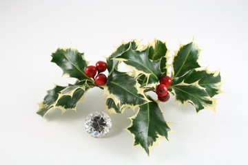 diamond and christmas holly