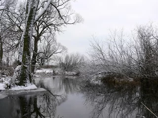 Foto auf Leinwand winter by the river © Jaroslaw Grudzinski