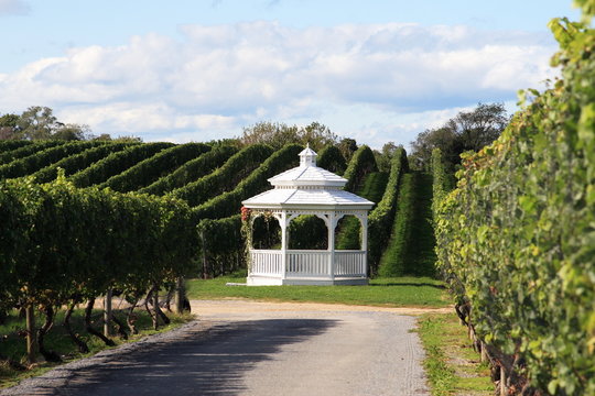 vineyard gazabo