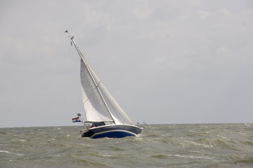 Fototapeta premium sailboat