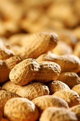detail of peanuts