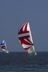 sailing. the winner and losed.