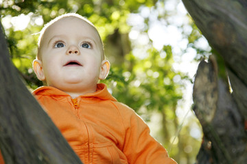 little boy outdoors