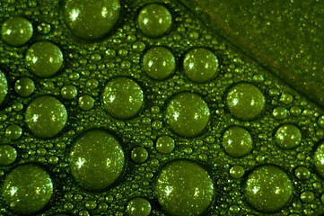 drops