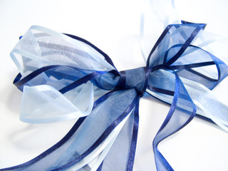 two blue bow