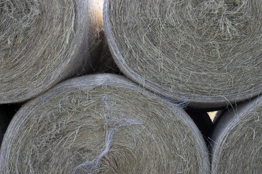 large bales of hay stacked up