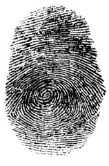 fingerprint