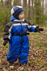 Fototapeta premium autumn in the park(6)