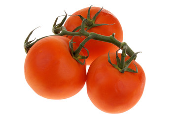 tomatoes on the vine