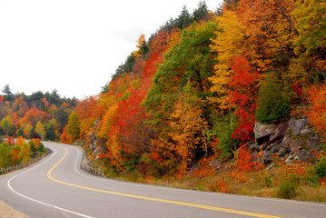 fall highway
