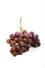 Obraz premium grapes
