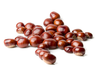 chestnut