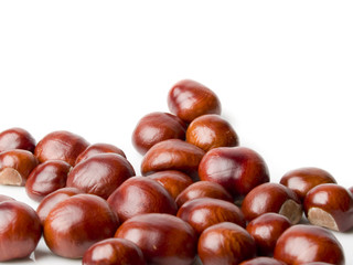 chestnut