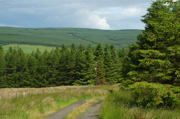 irish landscape