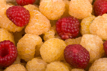 raspberries