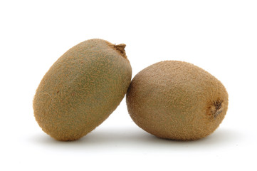 kiwi fruit