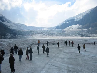 Deurstickers strolling on the athabasca glacier © Alan James