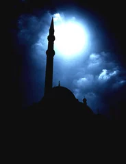 Foto op Plexiglas cairo mohamed ali mosque © david harding
