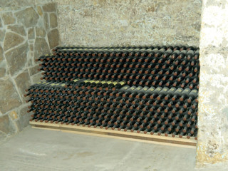 bottles of wine in cellar