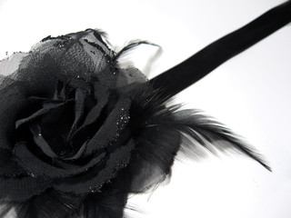 black rose 4