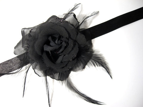 Black Rose 3