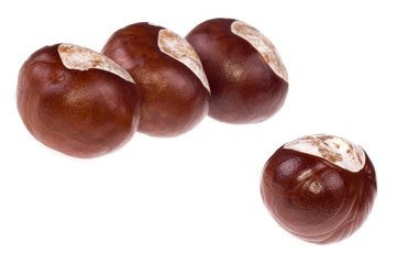 chestnuts. game