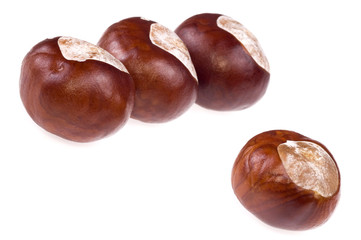 chestnuts. 3 + 1