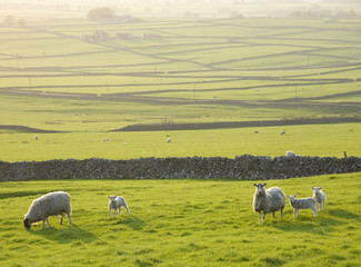 Fototapeta premium england derbyshire peak district national park