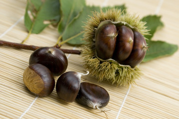 esskastanien