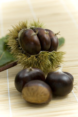 esskastanien