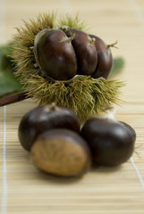esskastanien