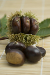 esskastanien