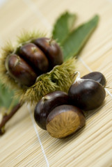 esskastanien