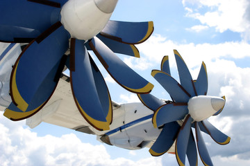 airborne flowers