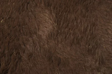 Rolgordijnen bizonbont bèta © Victoria Short
