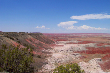 painted desert 5