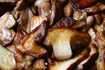 cèpes