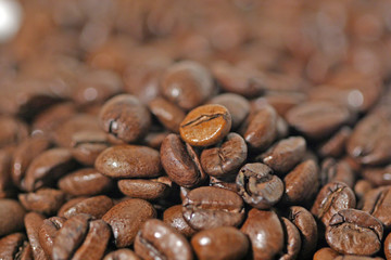 couleur café