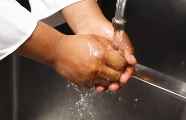 chef washing hand - 1435417