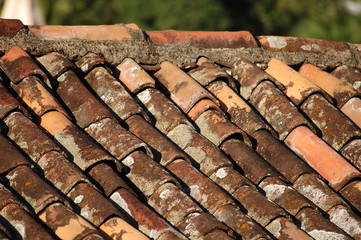 colonial roof