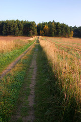 road through the autumn countryside