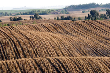 landscape texture plowed