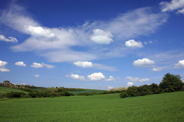 summer countryside