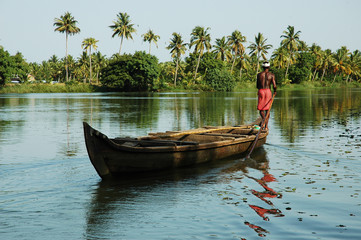 Inde, Kerala : paysage