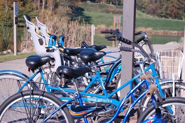 blue bikes for rent