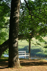 bench.  (manor trigorskoe)