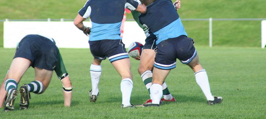 rugby union